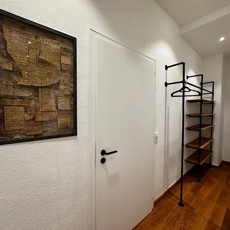 Historical Luxury Homes - Luxus Loft Wallstreet Friburgo de Brisgovia Exterior foto