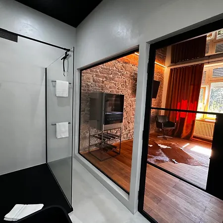 Historical Luxury Homes - Luxus Loft Wallstreet Friburgo de Brisgovia Exterior foto