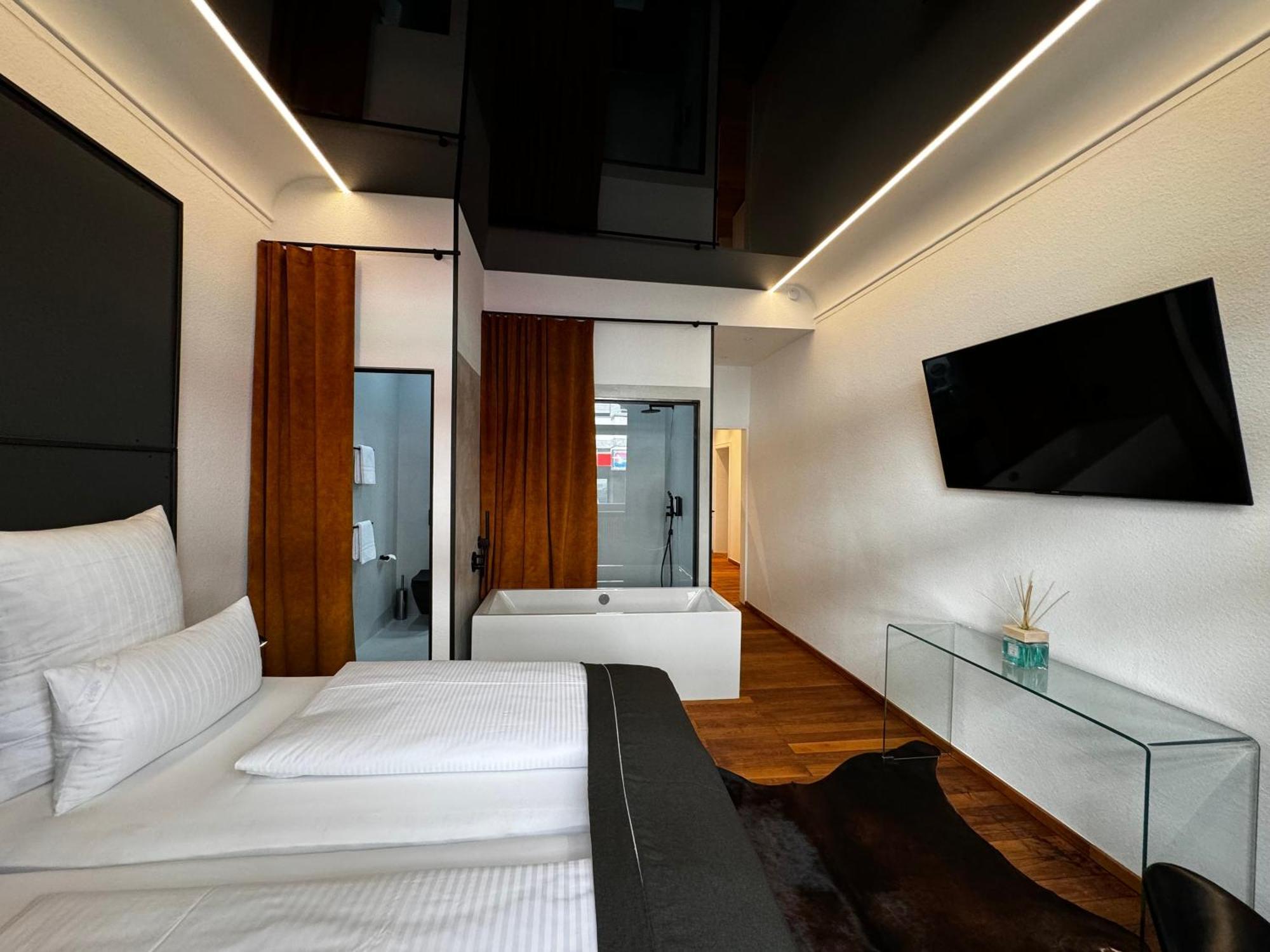 Apartment Historical Luxury Homes - Luxus Loft Wallstreet Freiburg im Breisgau